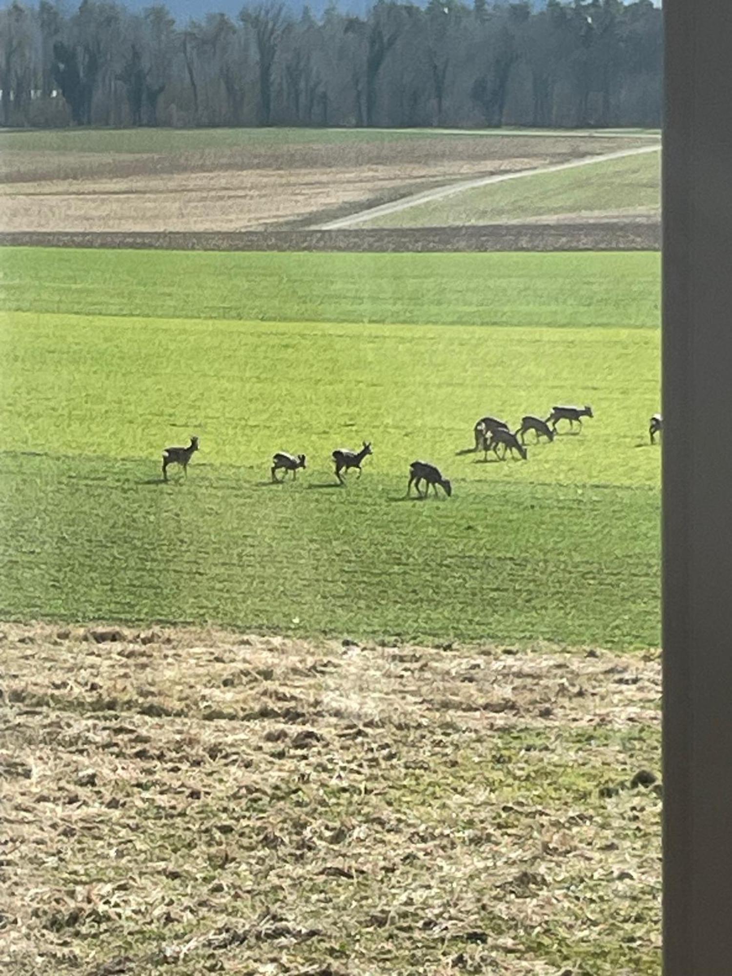 Schoene Unterkunft Naehe Schweiz Gottmadingen Bagian luar foto